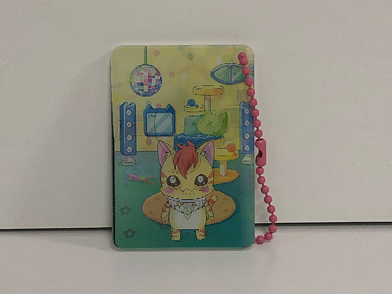 3Dアクリルキーチェーン